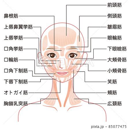 人中部 部位|【1